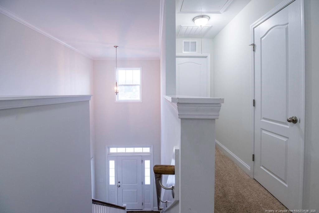 property viewer photo 37