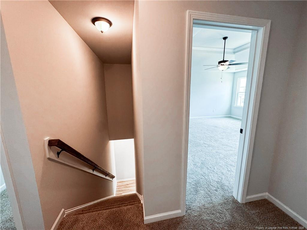 property viewer photo 18