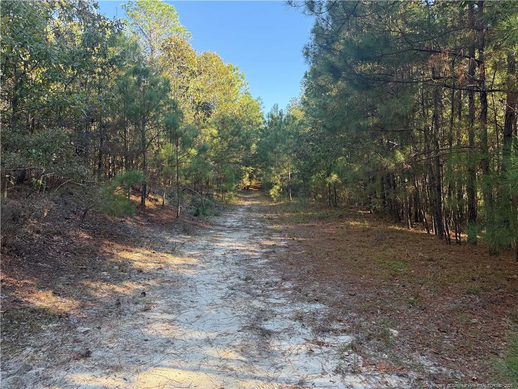 main property photo 4