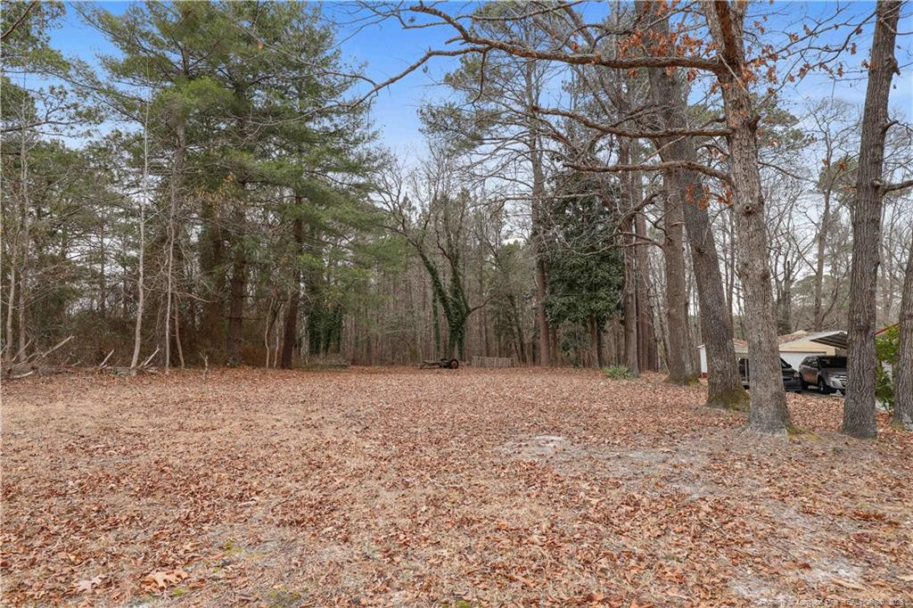 main property photo 32