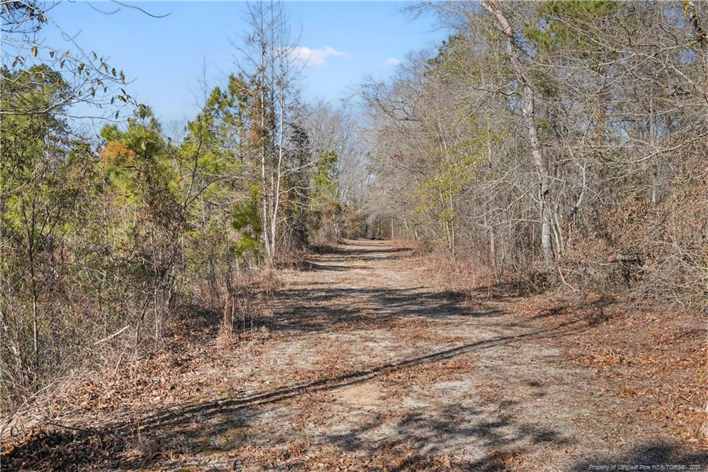 main property photo 30