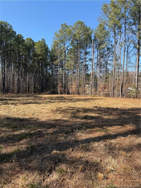 main property photo 13