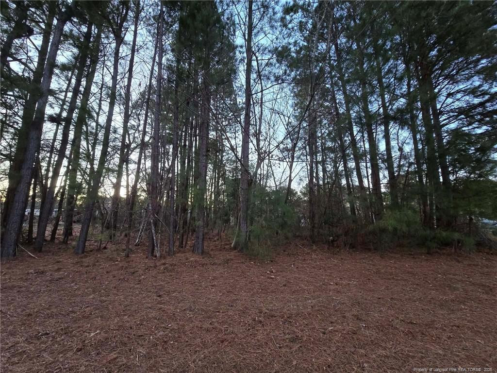 main property photo 13
