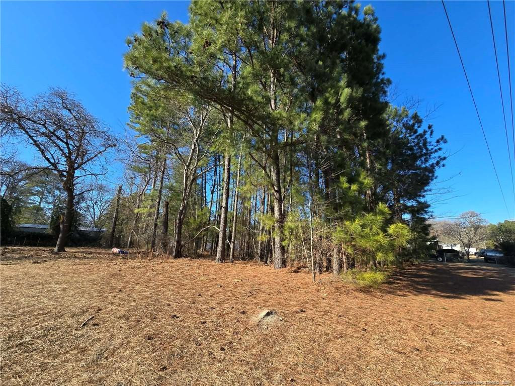 main property photo 5
