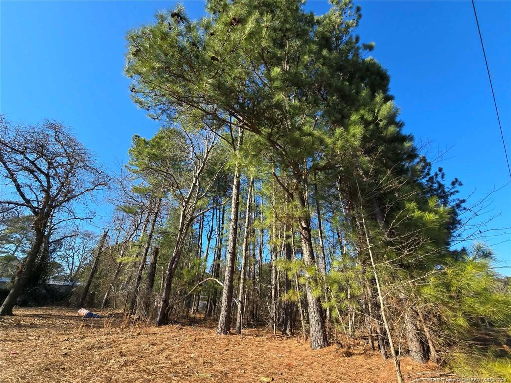 main property photo 9