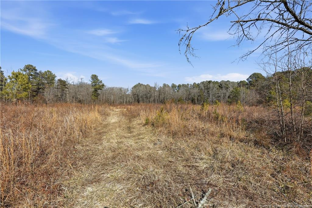 main property photo 27