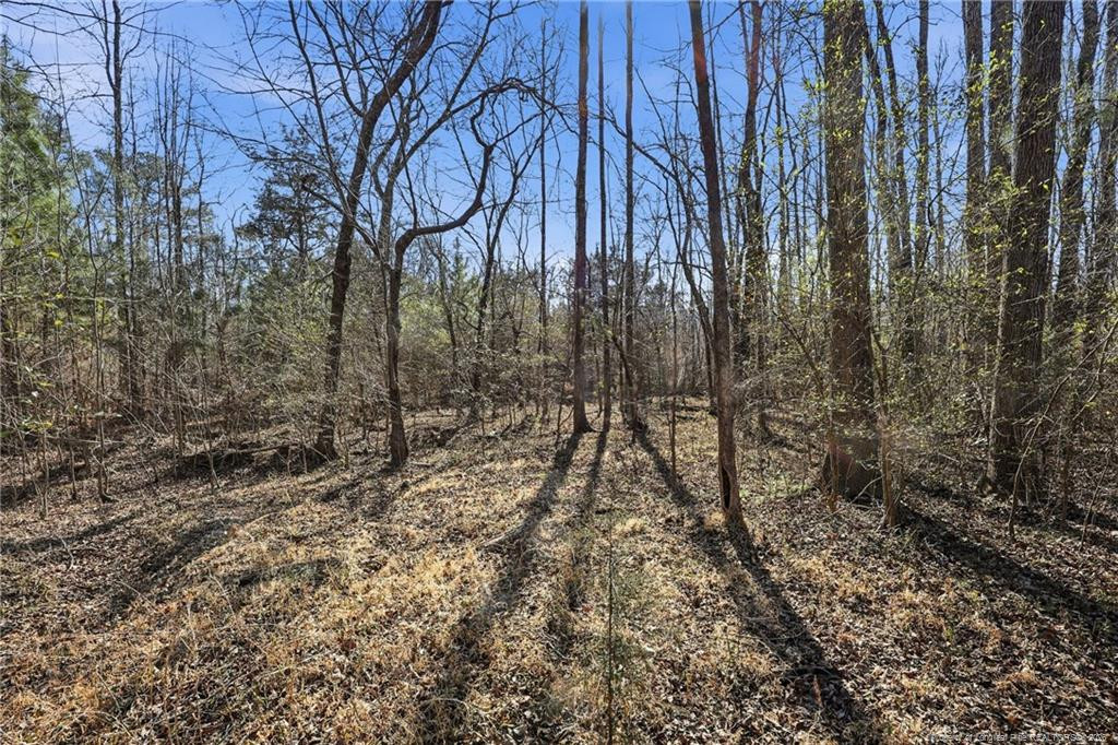main property photo 16