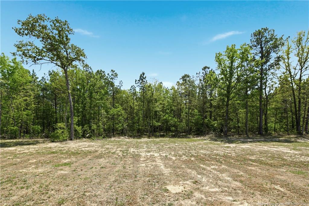 main property photo 48