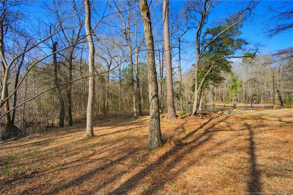 main property photo 41