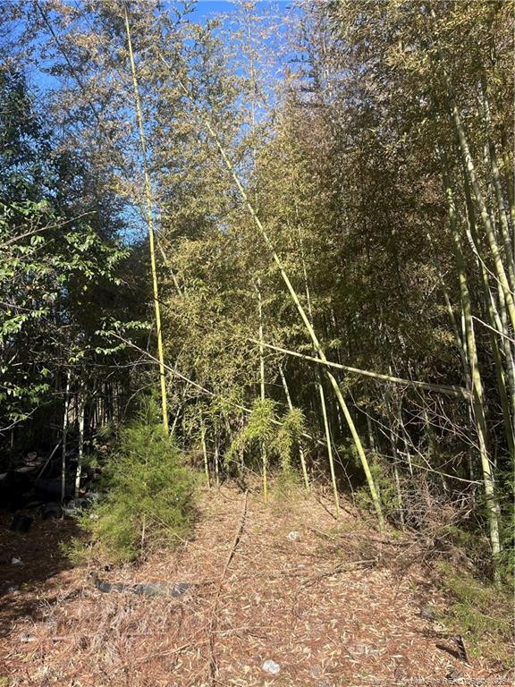 main property photo 19