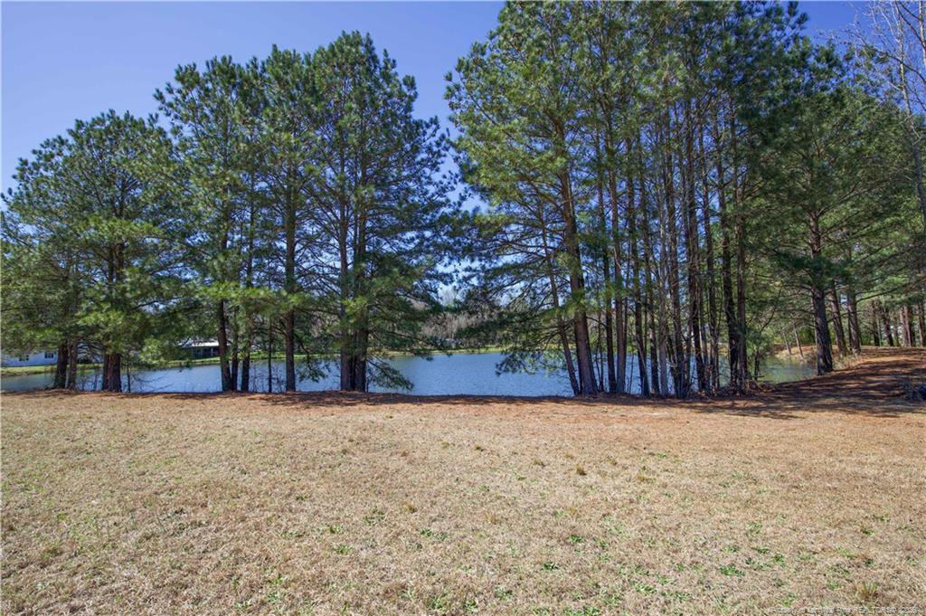 main property photo 48