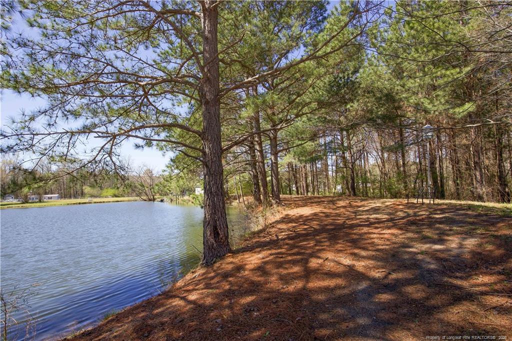 main property photo 49