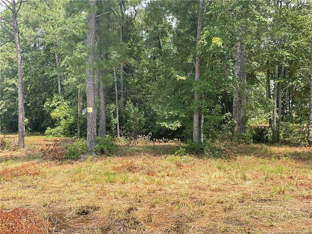 main property photo 6