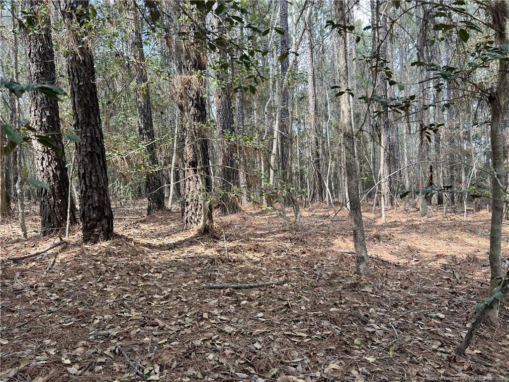 main property photo 8