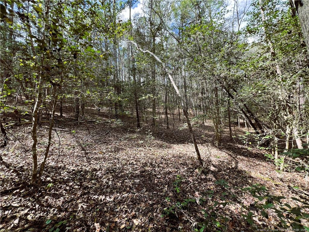 main property photo 9