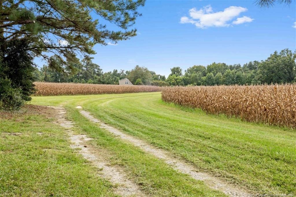 main property photo 10
