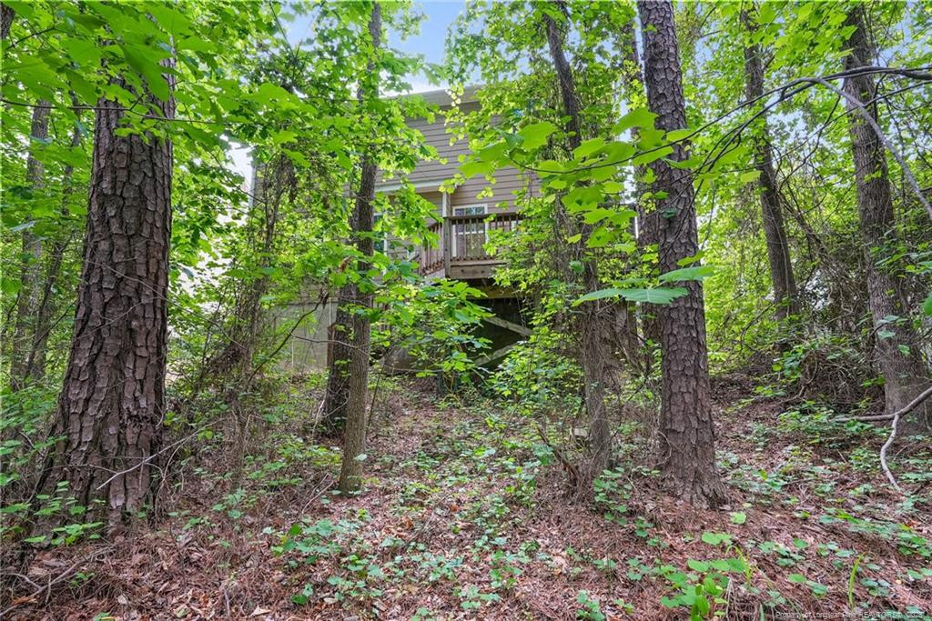 main property photo 42