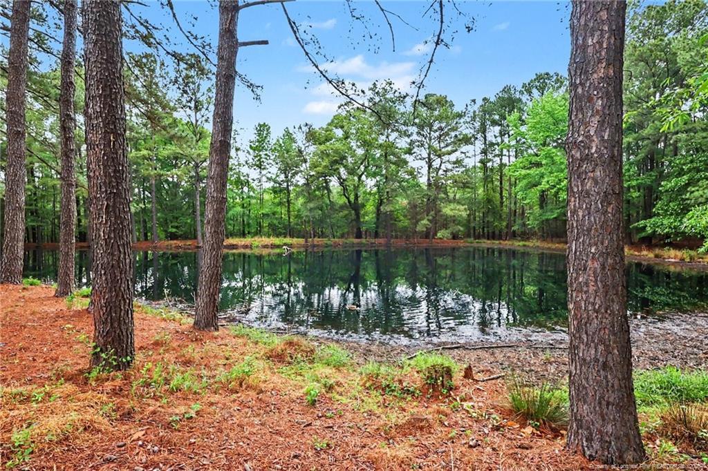main property photo 47