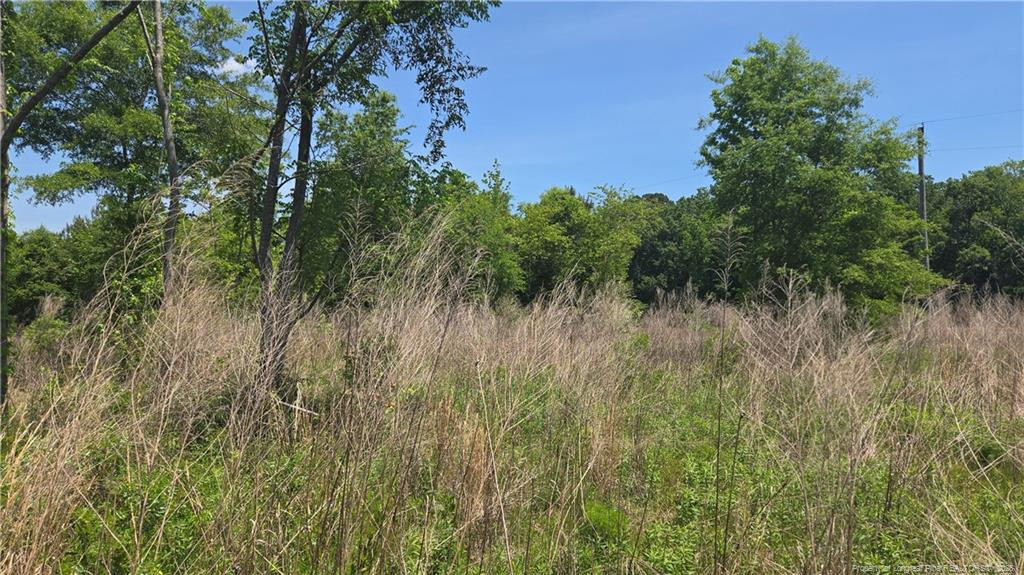 main property photo 10