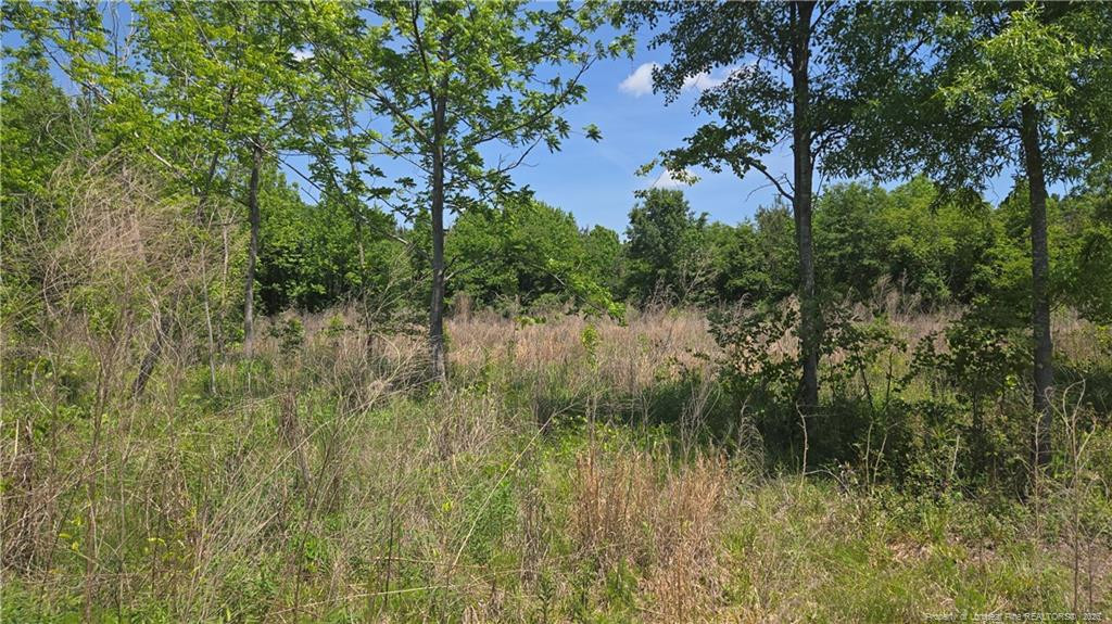 main property photo 11