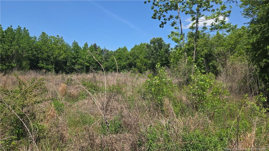 main property photo 16