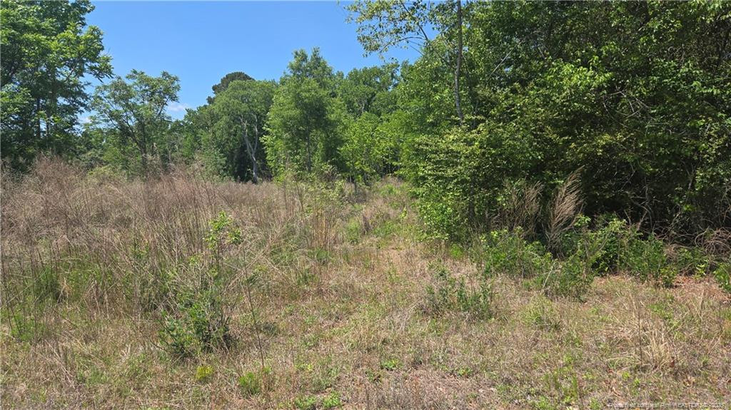 main property photo 6