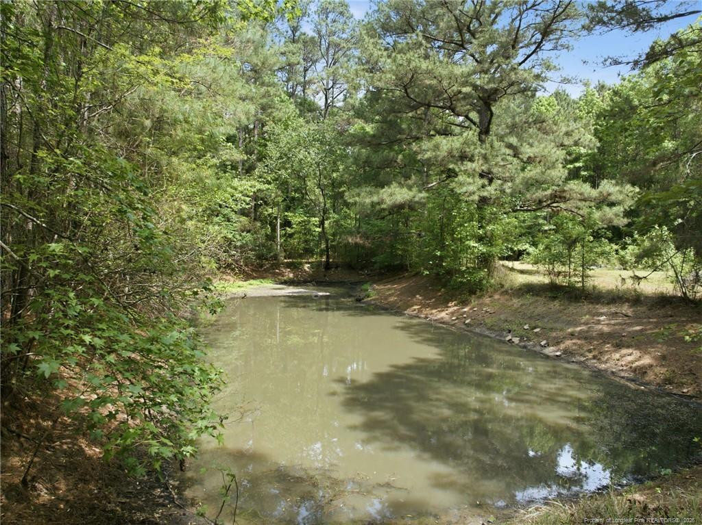 main property photo 46