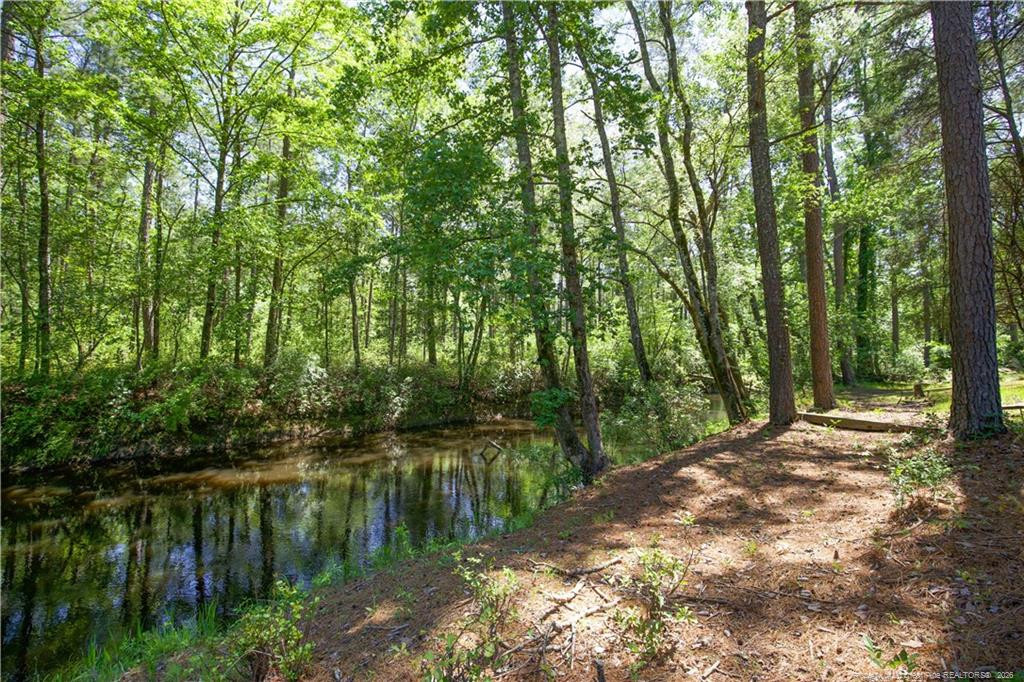 main property photo 39