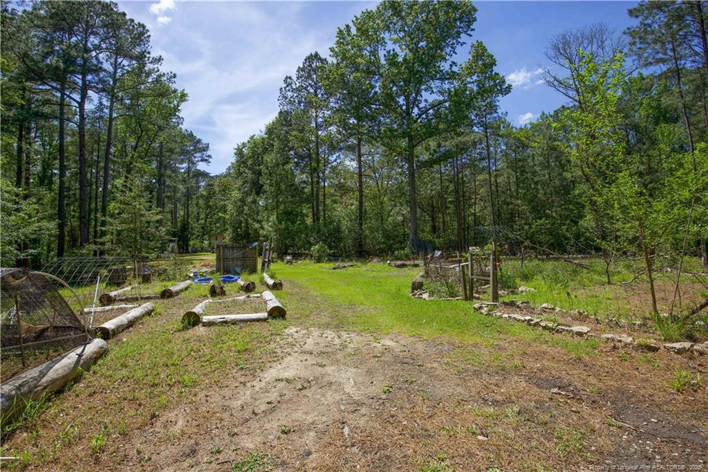 main property photo 42