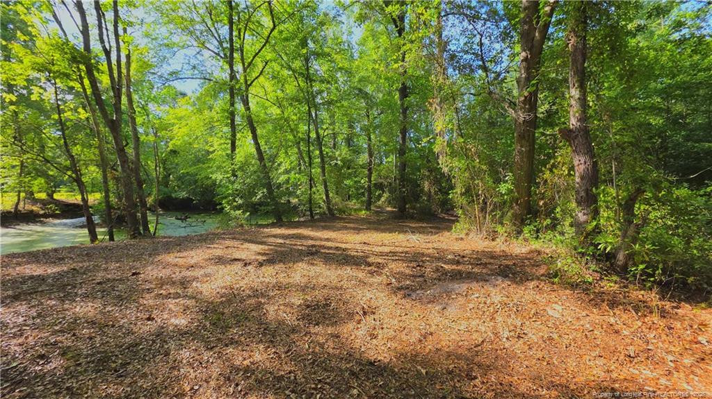 main property photo 39