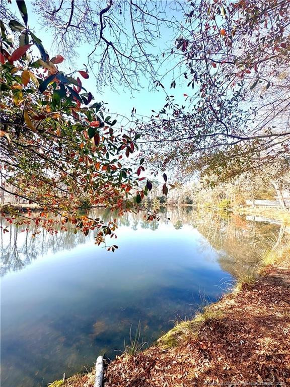 main property photo 32
