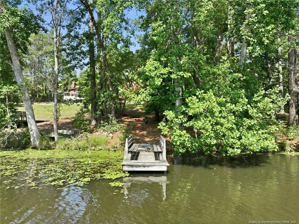 main property photo 32