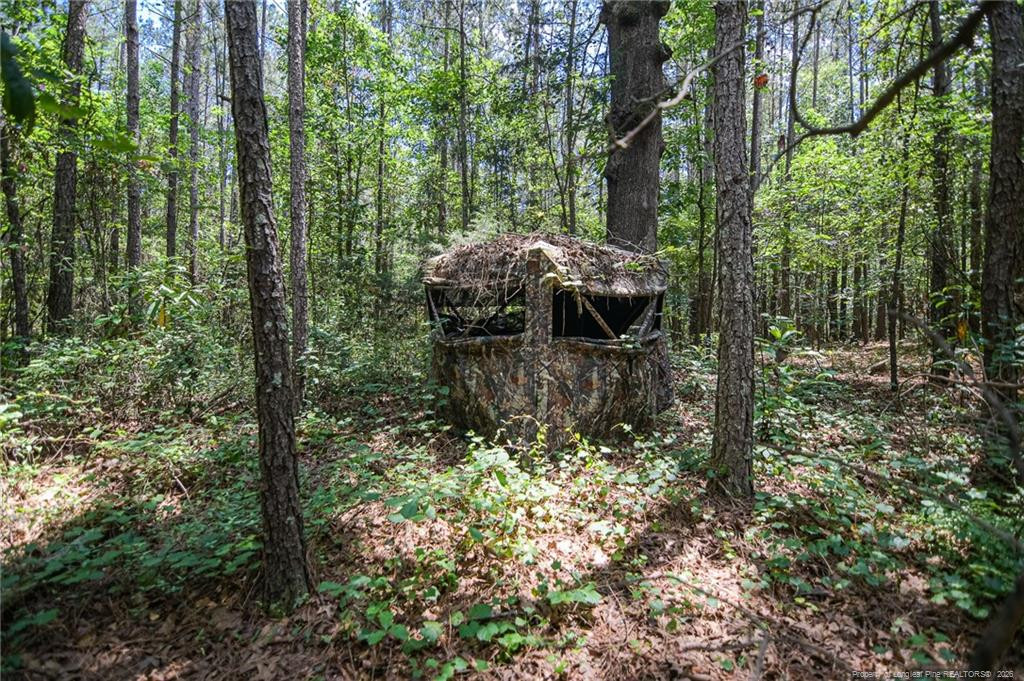 main property photo 42