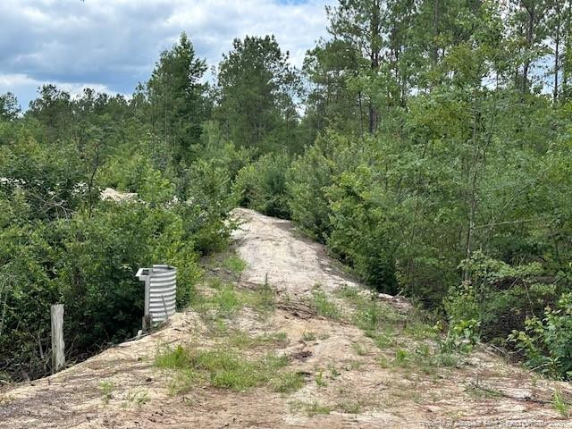 main property photo 38