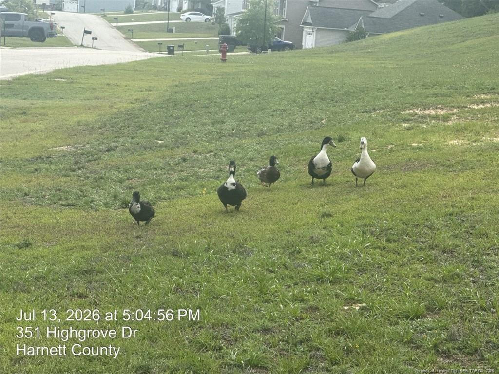 main property photo 39
