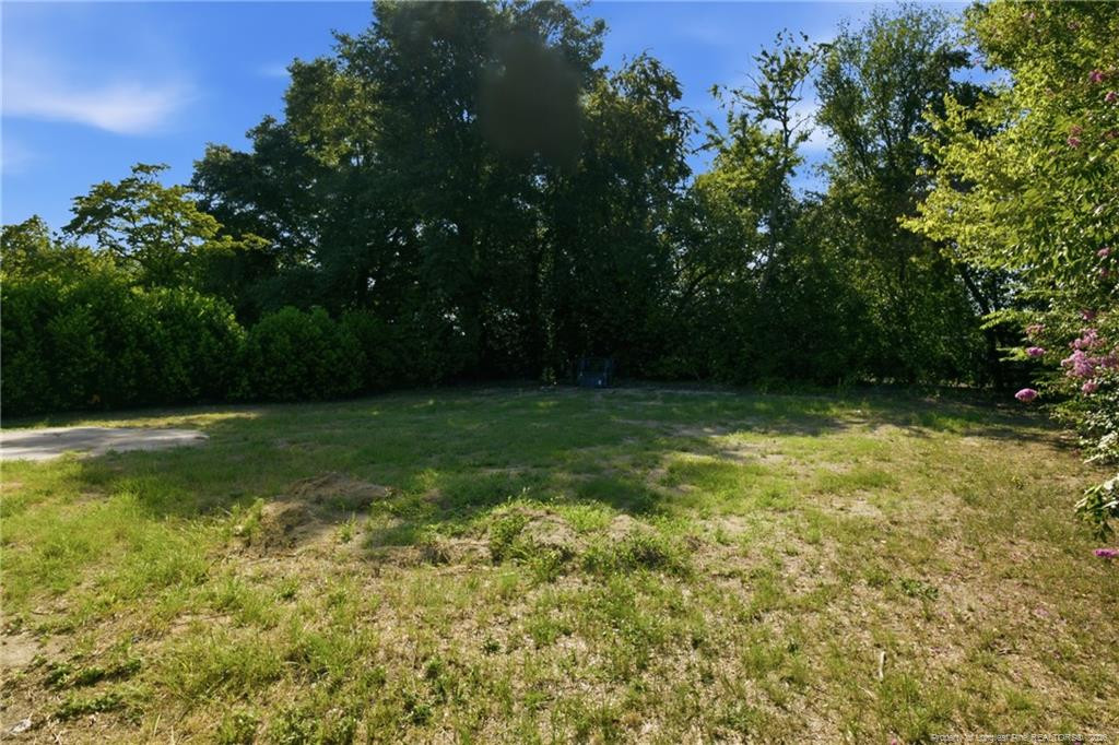 main property photo 43
