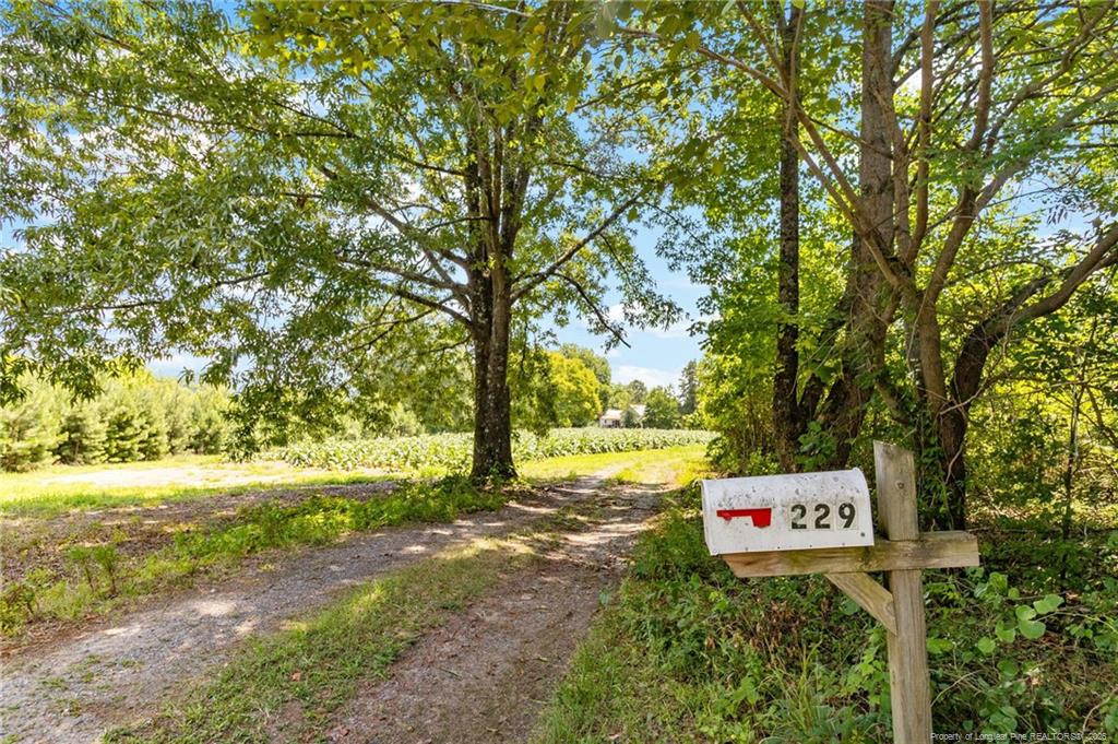 main property photo 12