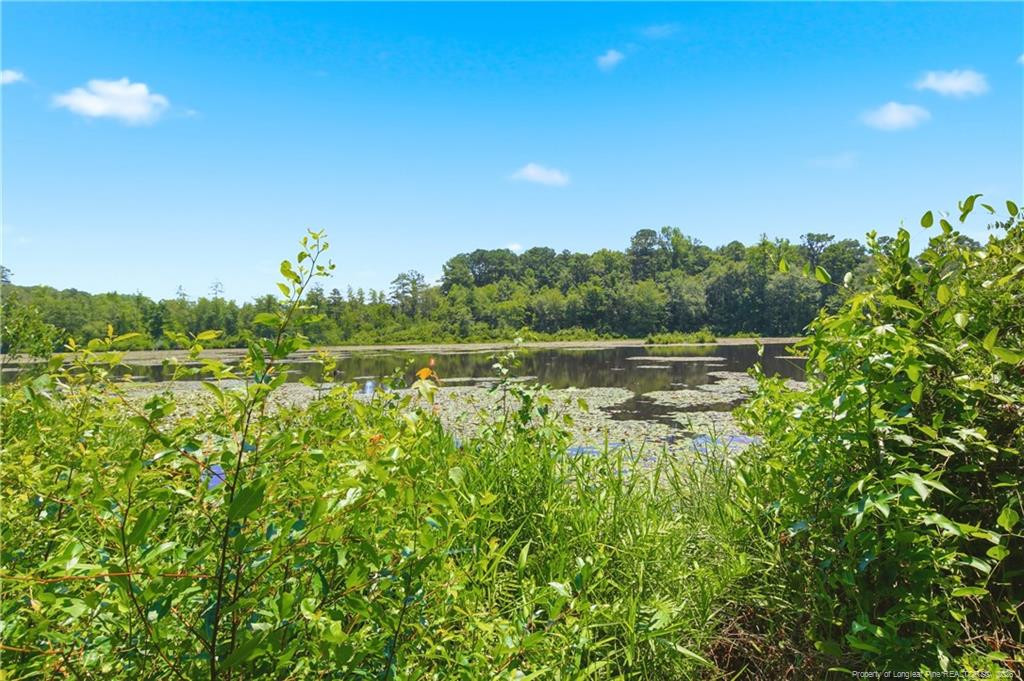 main property photo 49
