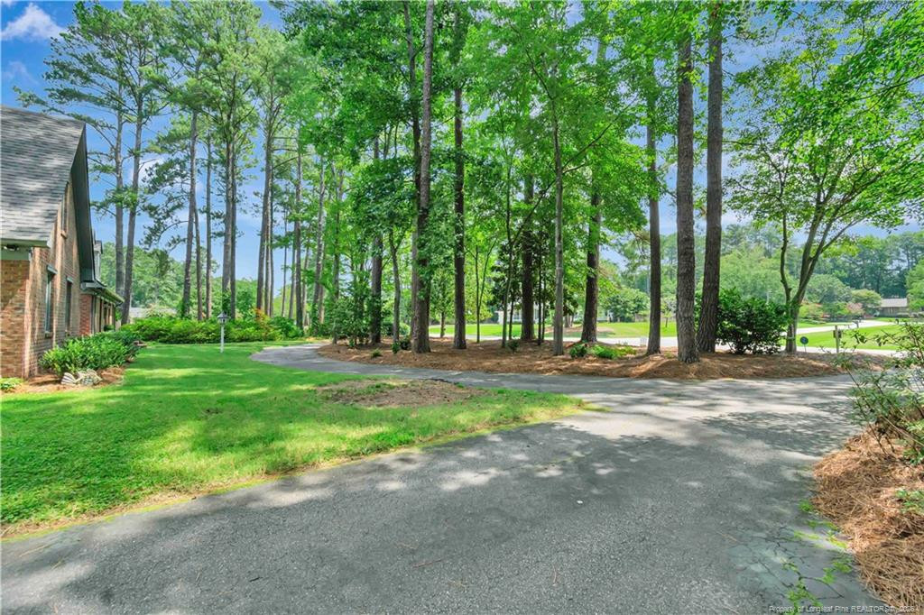 main property photo 48