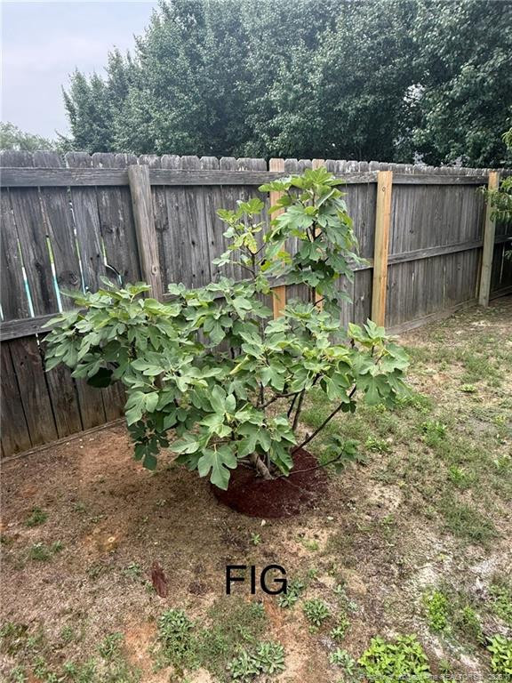 main property photo 43