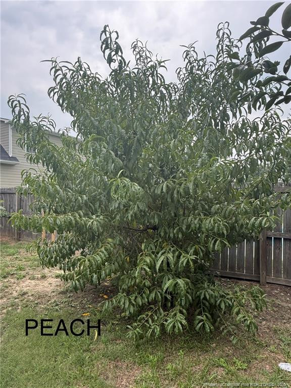 main property photo 44