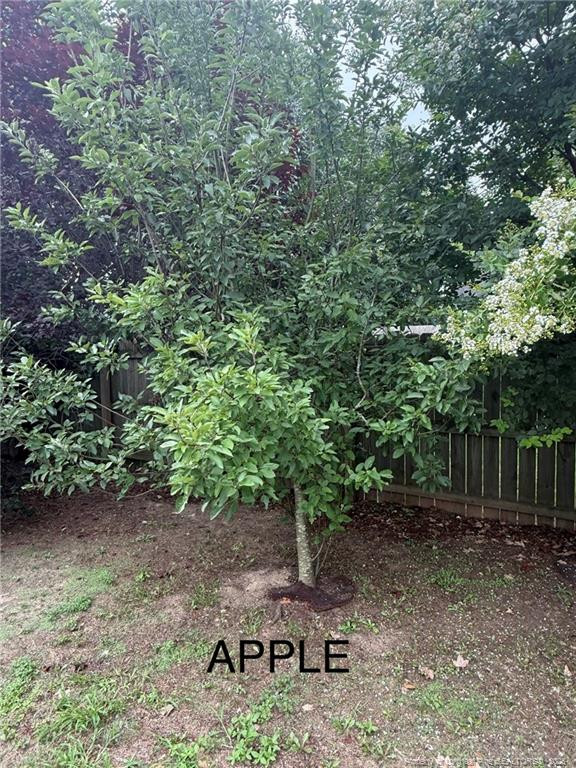 main property photo 46
