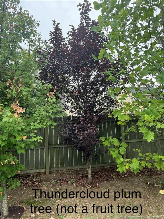 main property photo 49