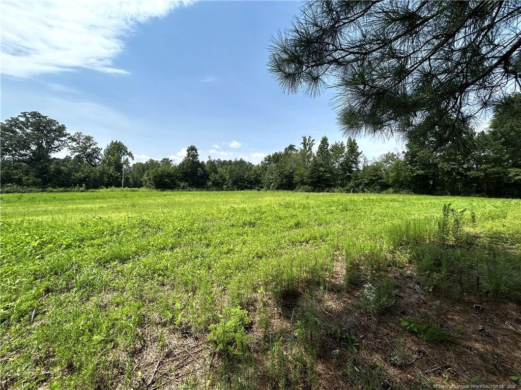 main property photo 11