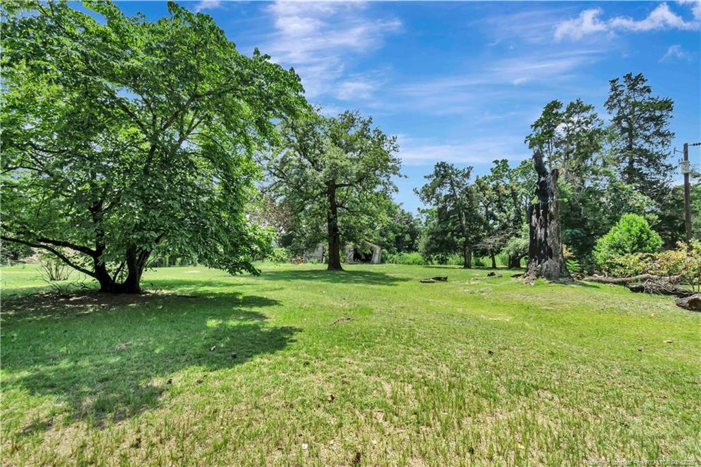main property photo 47