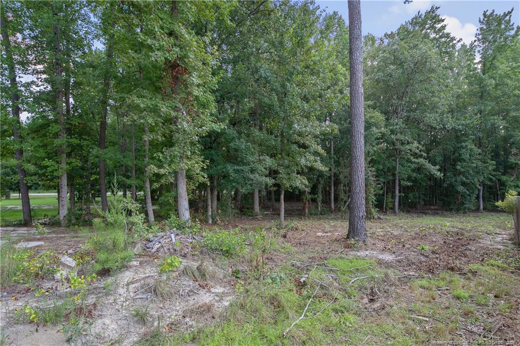 main property photo 36