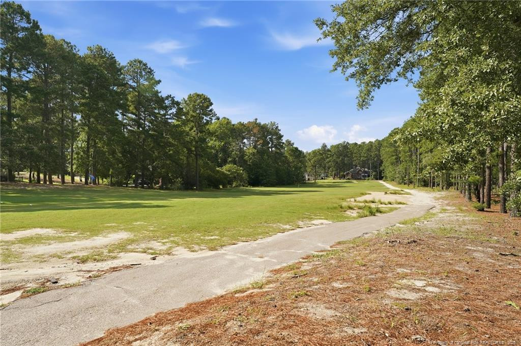 main property photo 41