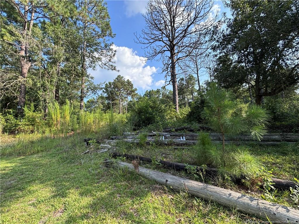 main property photo 12