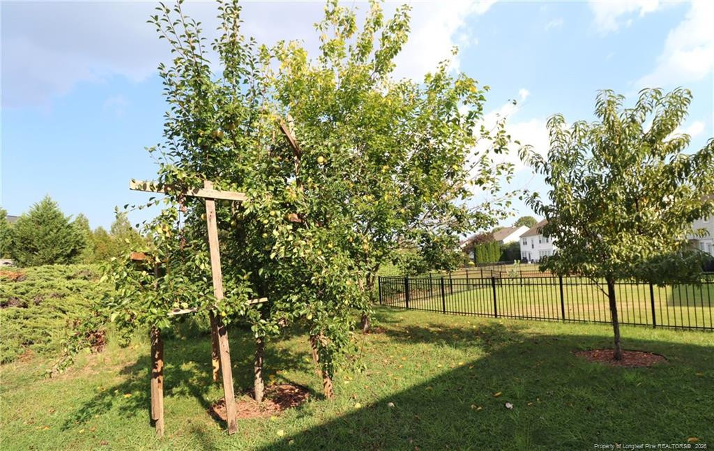main property photo 40