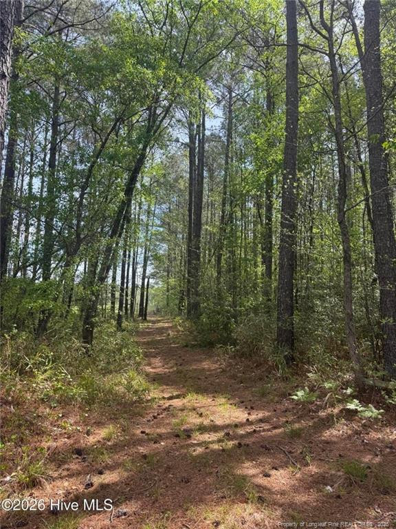 main property photo 26